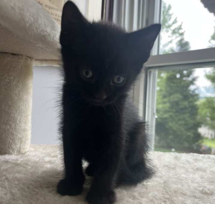Photo of Jack