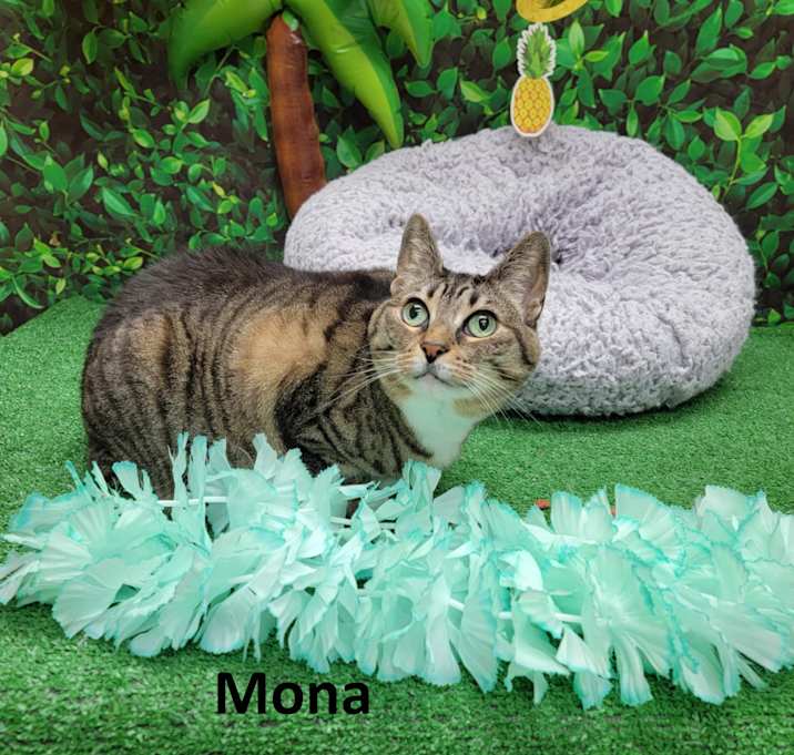 Photo of Mona