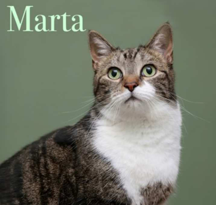 Photo of Marta