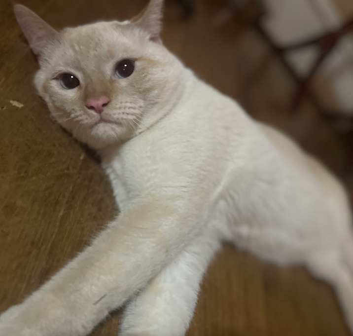 Photo of Walter