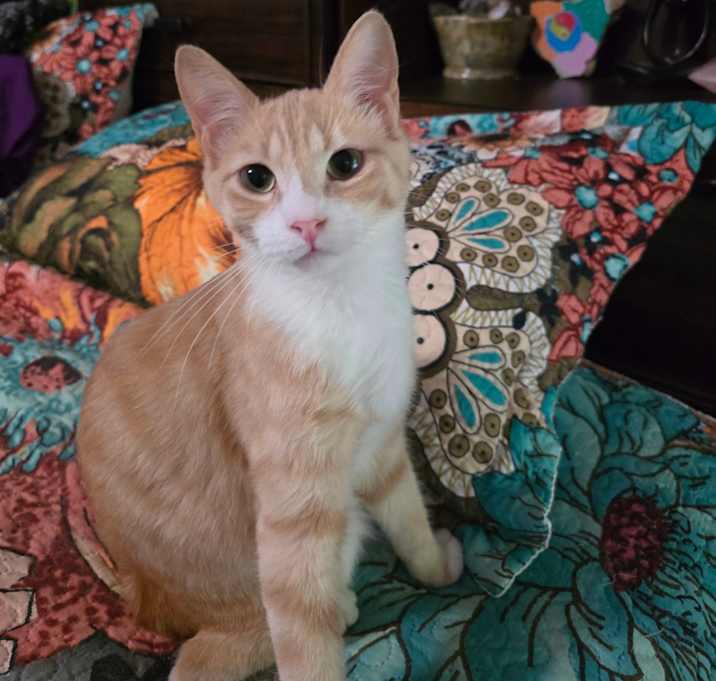Photo of Spyro Jake