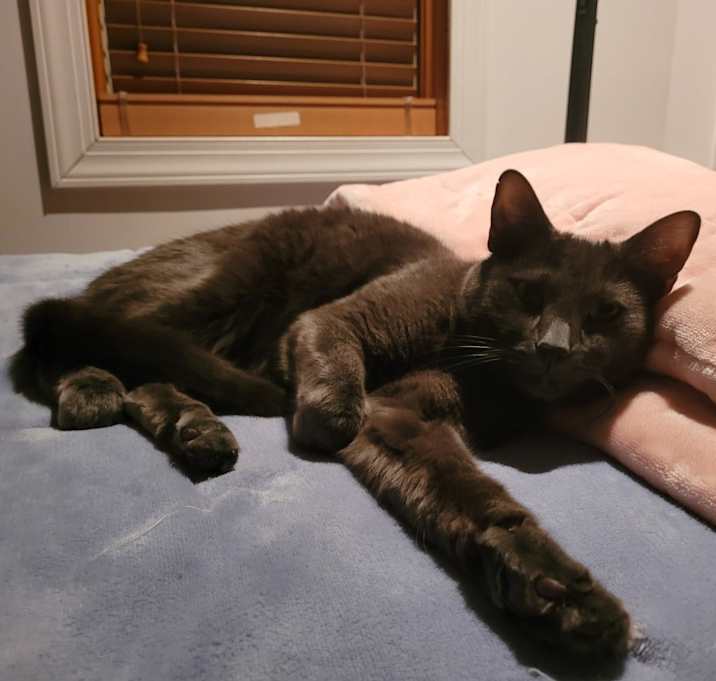 Photo of Gandalf