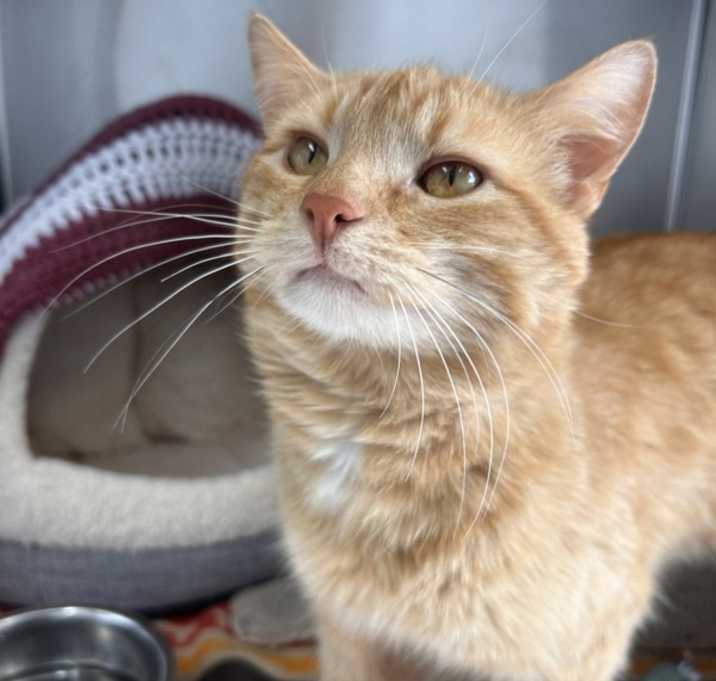 Photo of Richard Parker