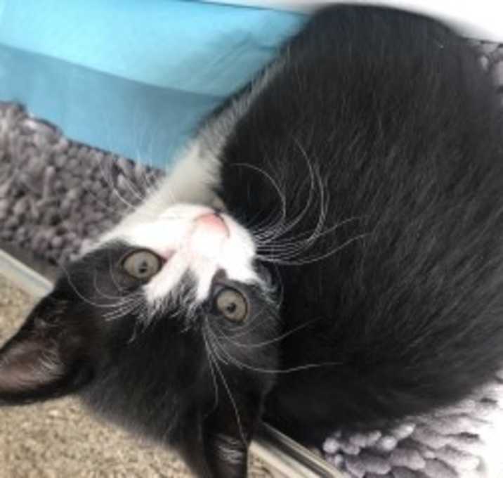 Photo of Ivy