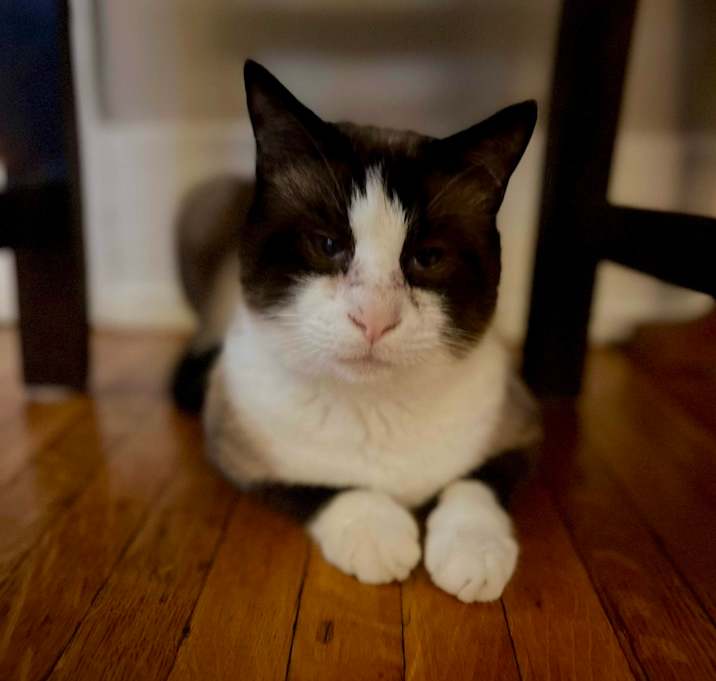 Photo of Kimchi