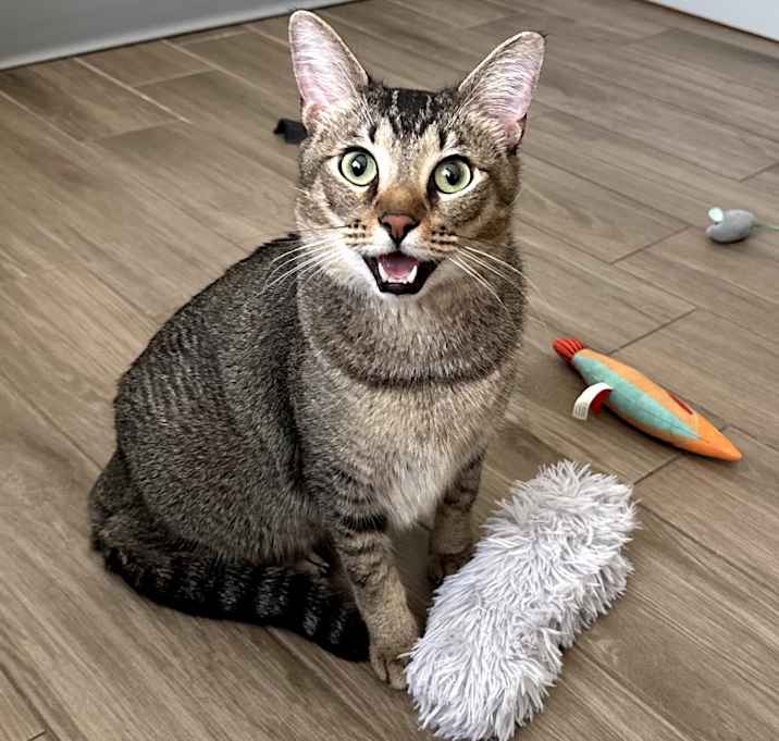 Photo of Mercury