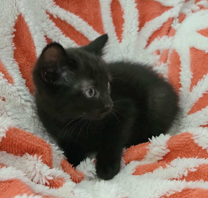 Photo of Silas