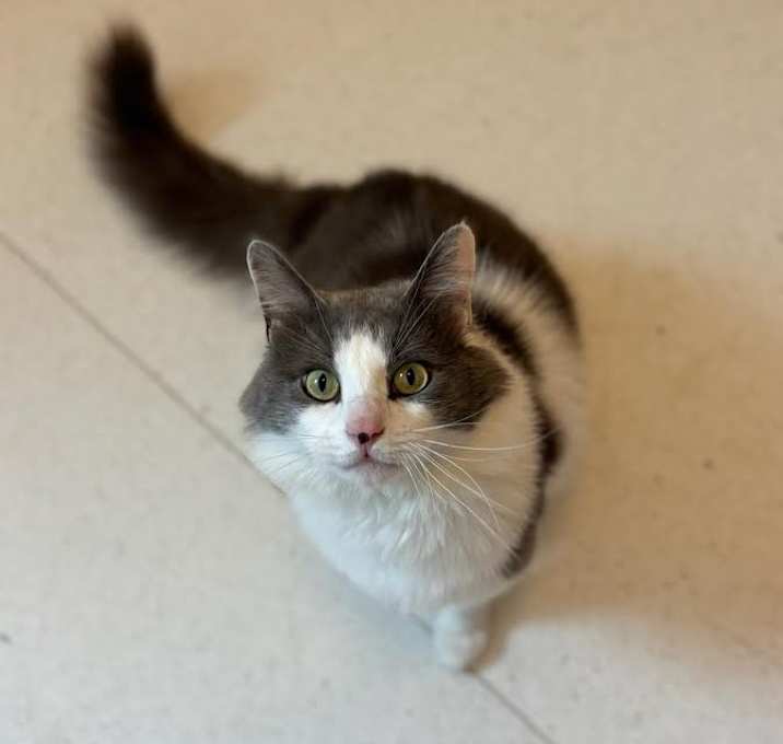 Photo of Cedric 