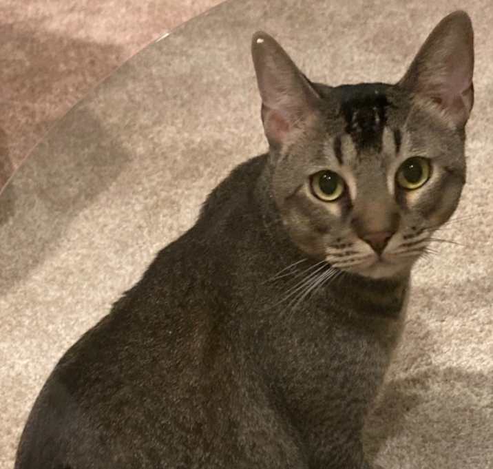Photo of MiuMiu