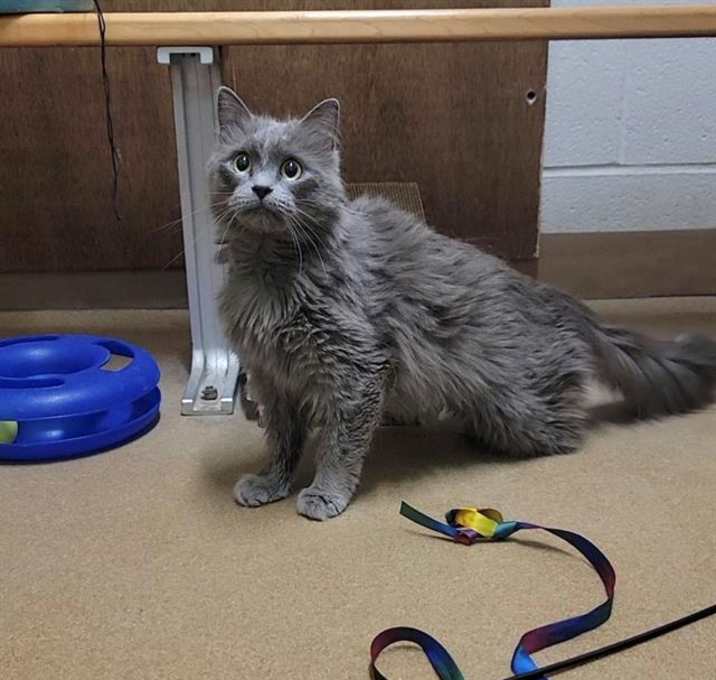 Photo of TANGLE