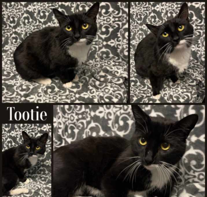Photo of Tootie