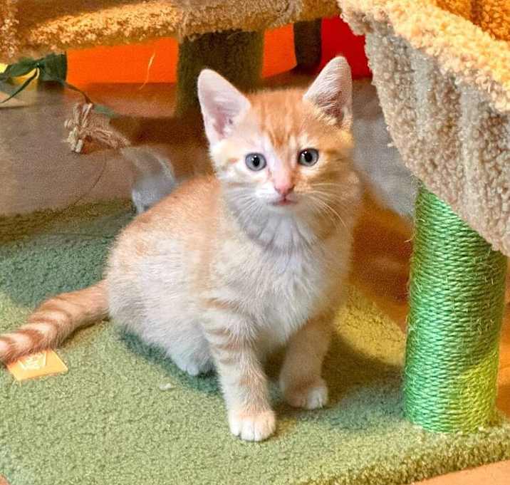 Photo of MUFASA