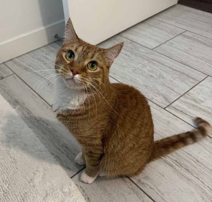 Photo of Oliver