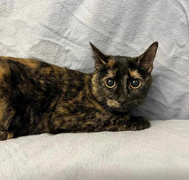 Photo of Sprout