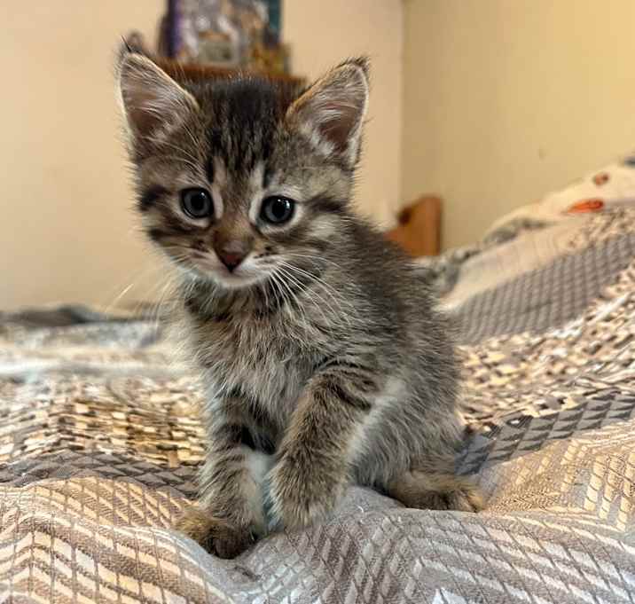 Photo of Raylee 