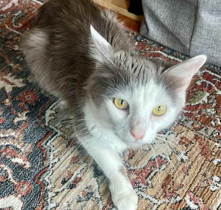 Photo of Kat