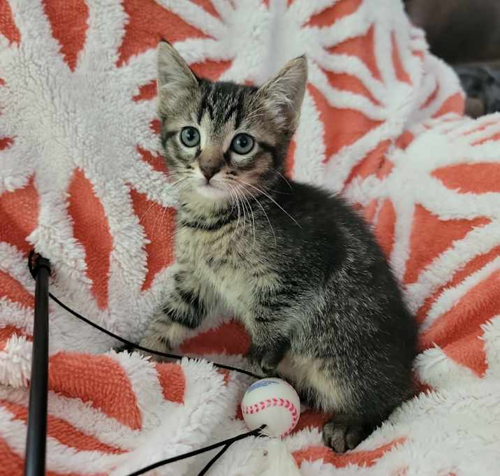 Photo of Miss Kay 