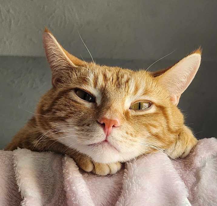 Photo of Mr. Sherman