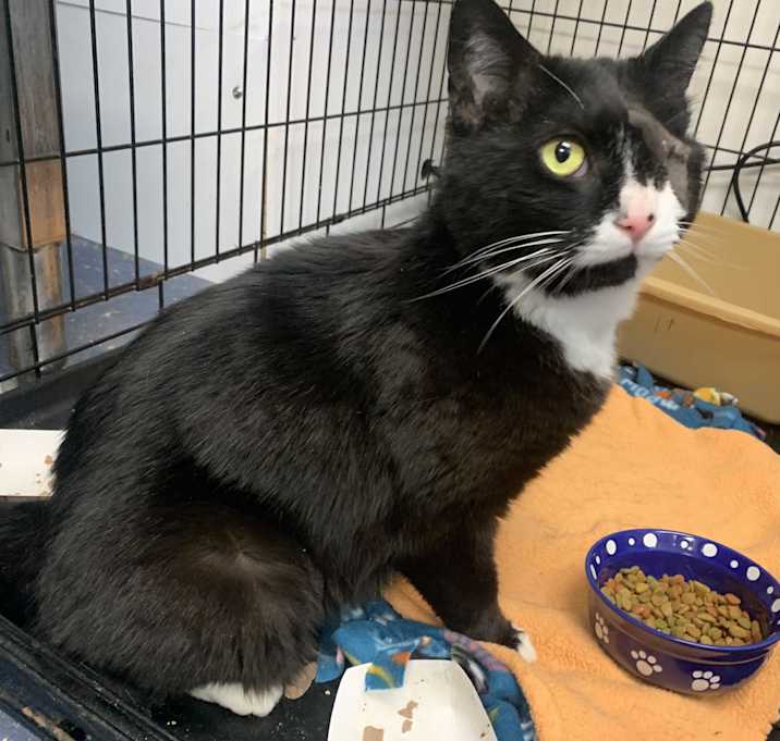 Photo of Rascal