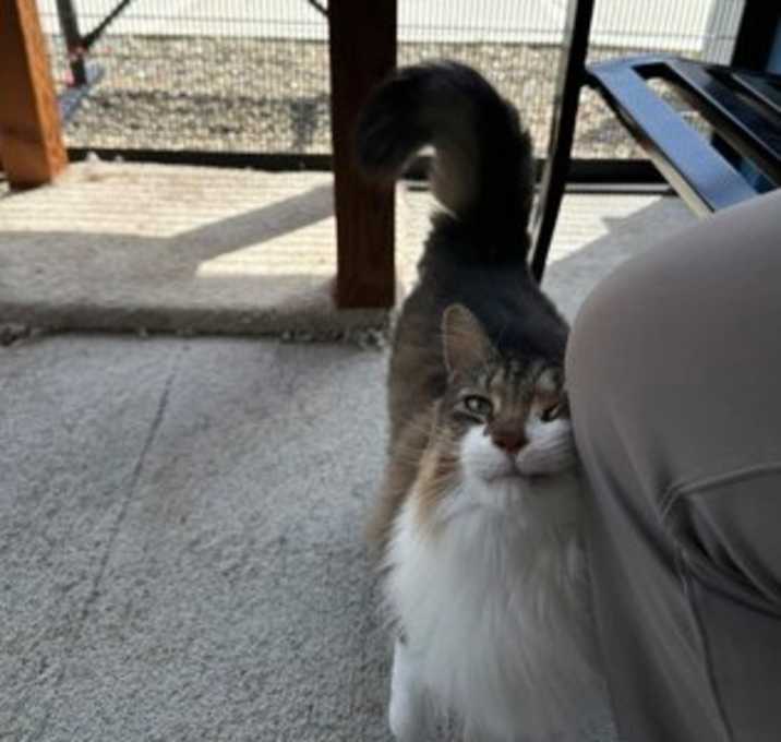 Photo of Matilda