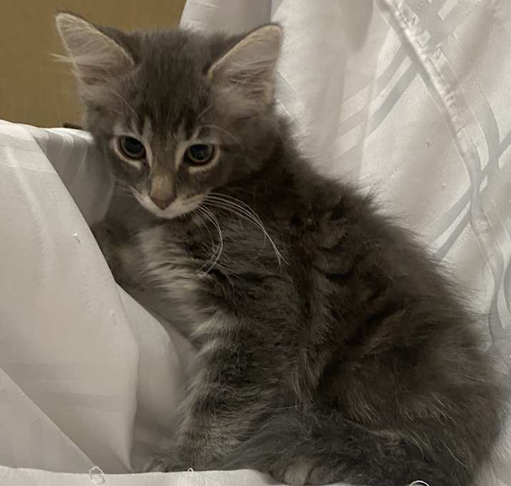 Photo of Emily