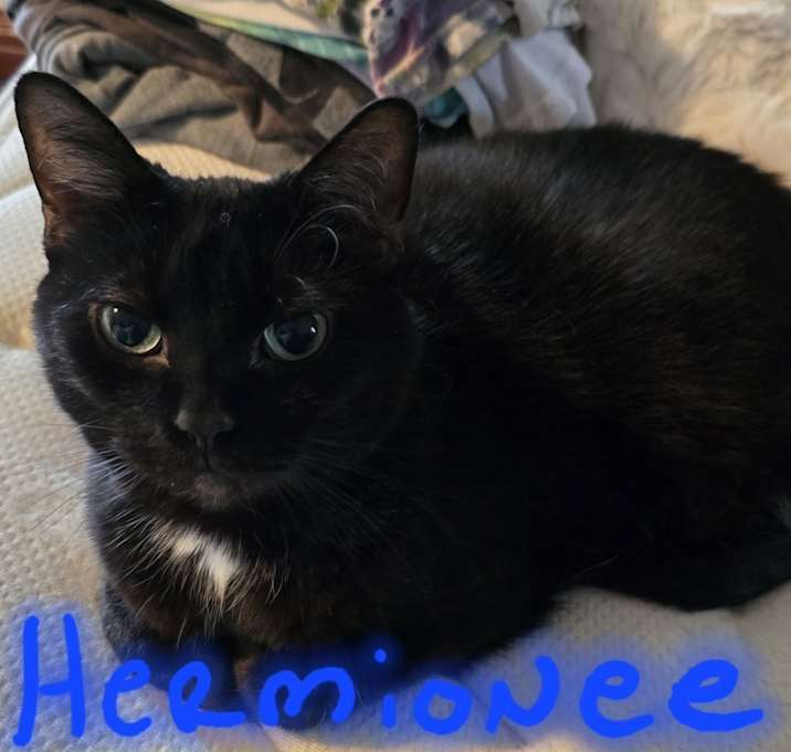 Photo of Hermione