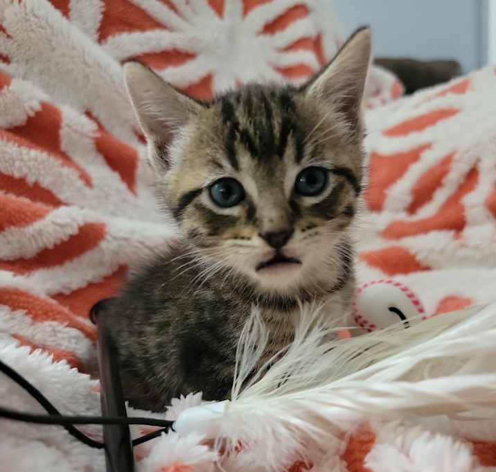 Photo of Mickey
