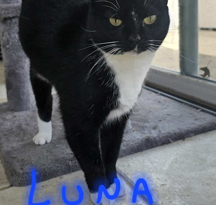 Photo of Luna