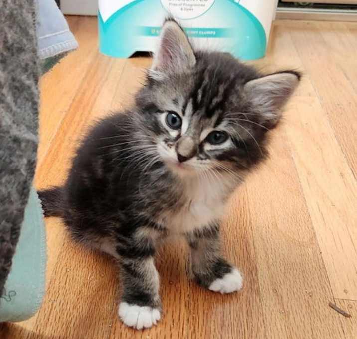 Photo of Kenji
