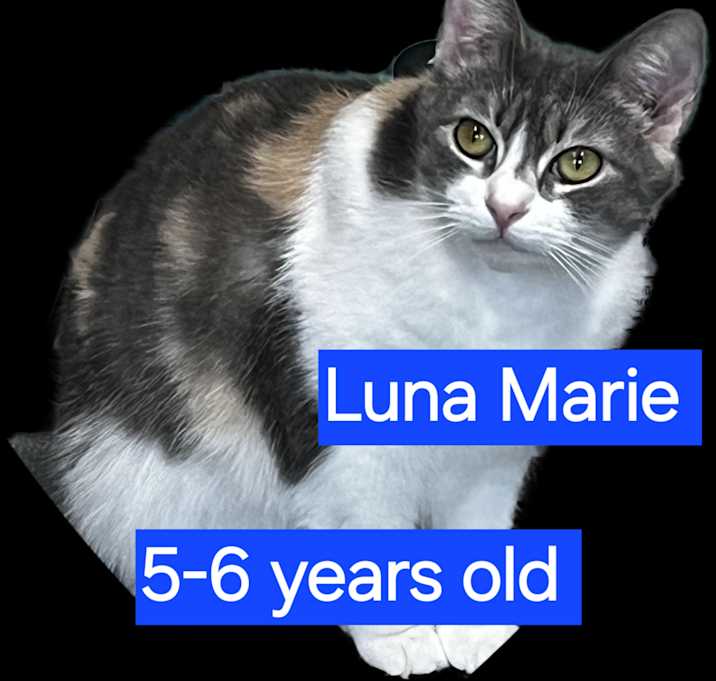 Photo of Luna Marie