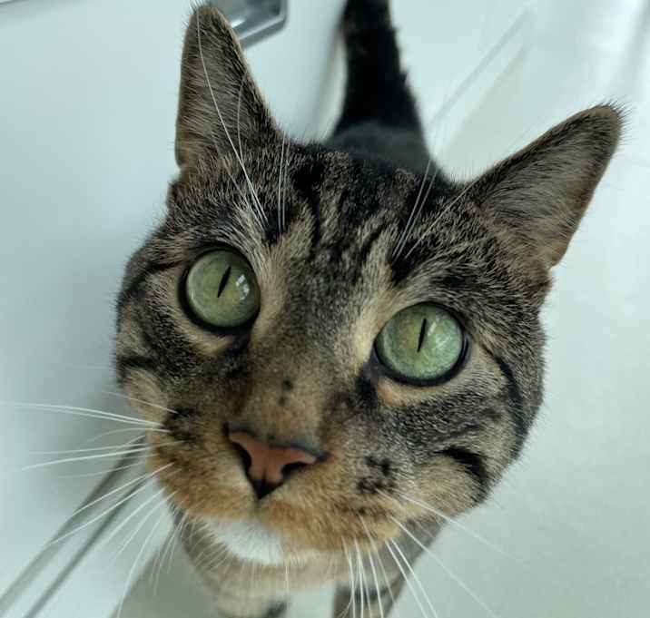 Photo of Blu