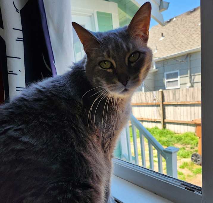 Photo of Big Foot