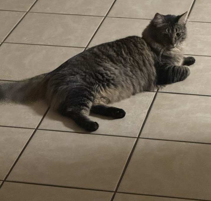 Photo of Maizy