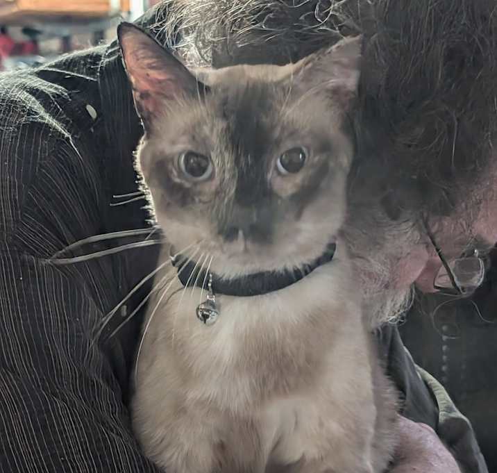Photo of Mona