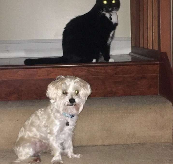 Photo of Socks