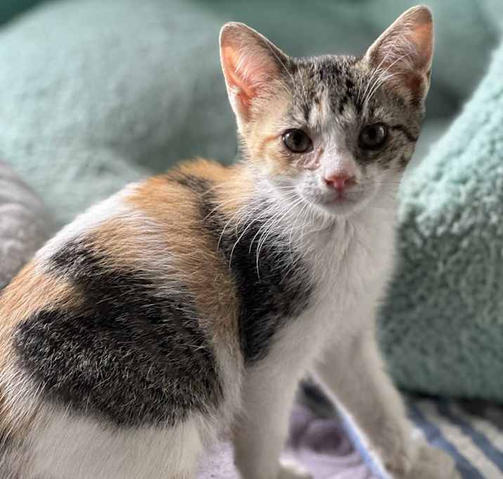 Photo of Spice