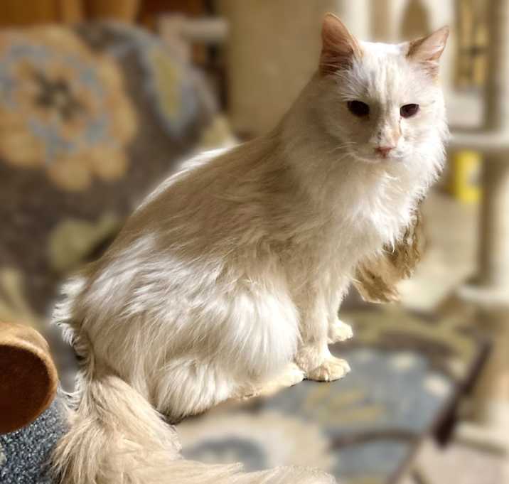Photo of Spike