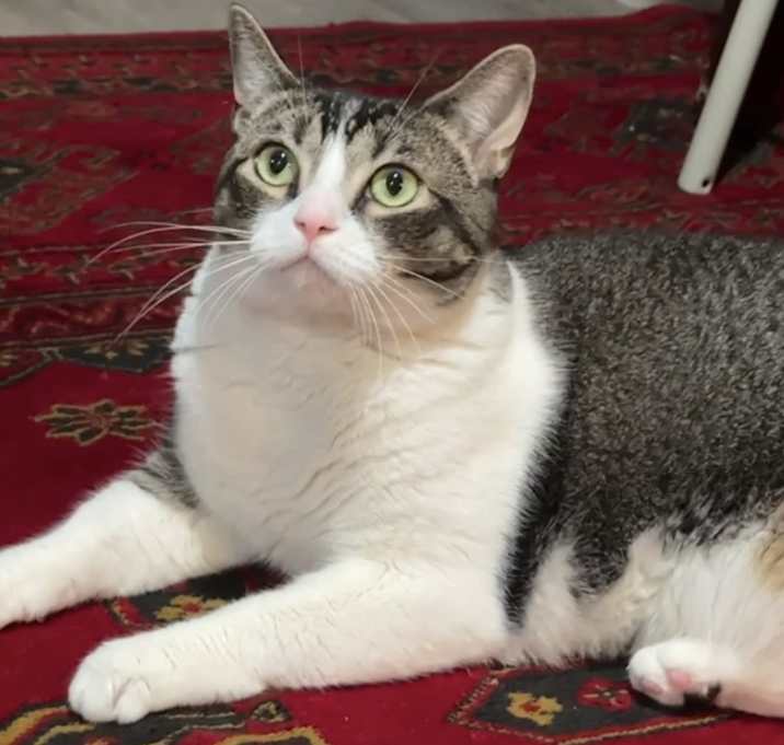 Photo of Tipsy