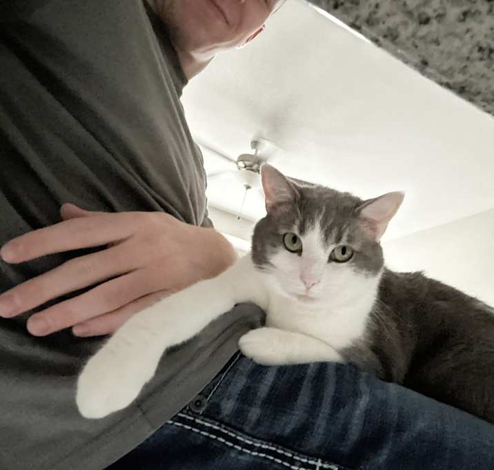 Photo of Link