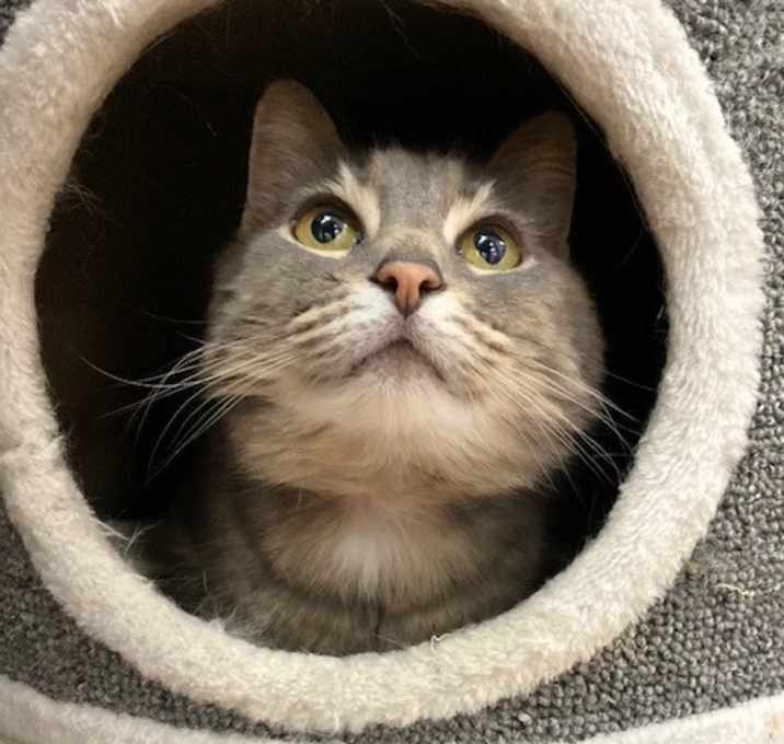 Photo of Beatrice
