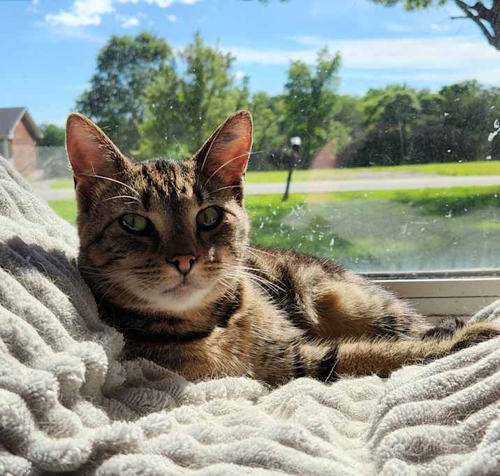 Photo of Aspen