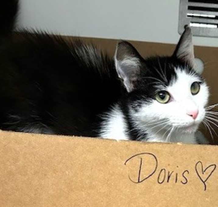 Photo of Doris