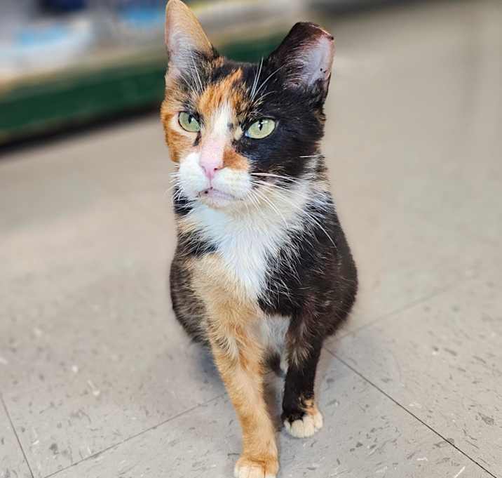 Photo of Gigi