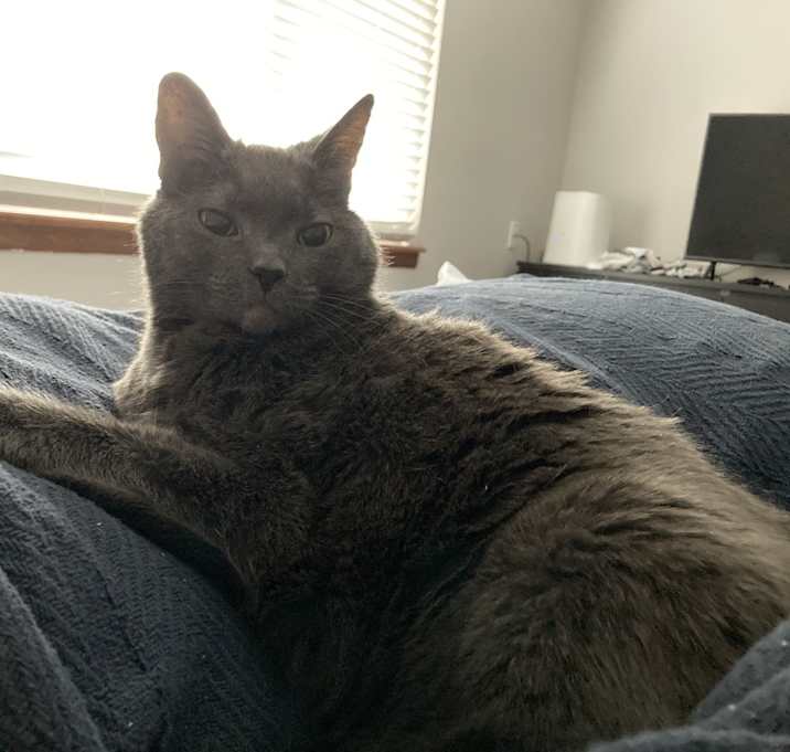 Photo of Ember