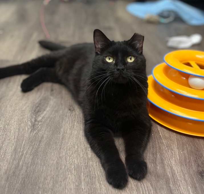 Photo of Juliet 
