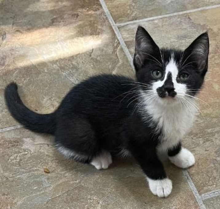 Photo of Shelly