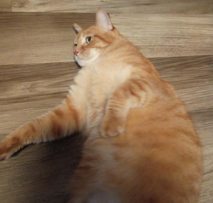 Photo of Ron