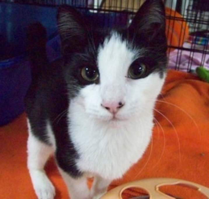 Photo of Phantom