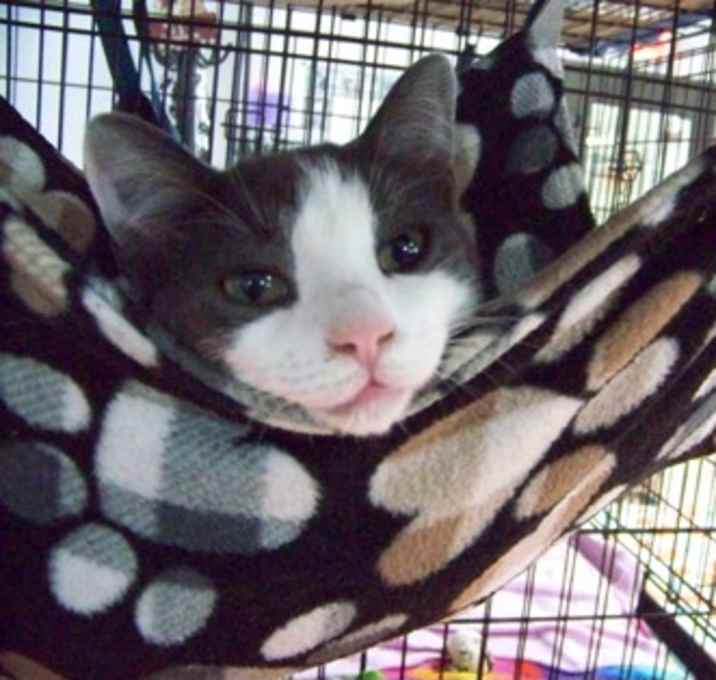 Photo of Porter