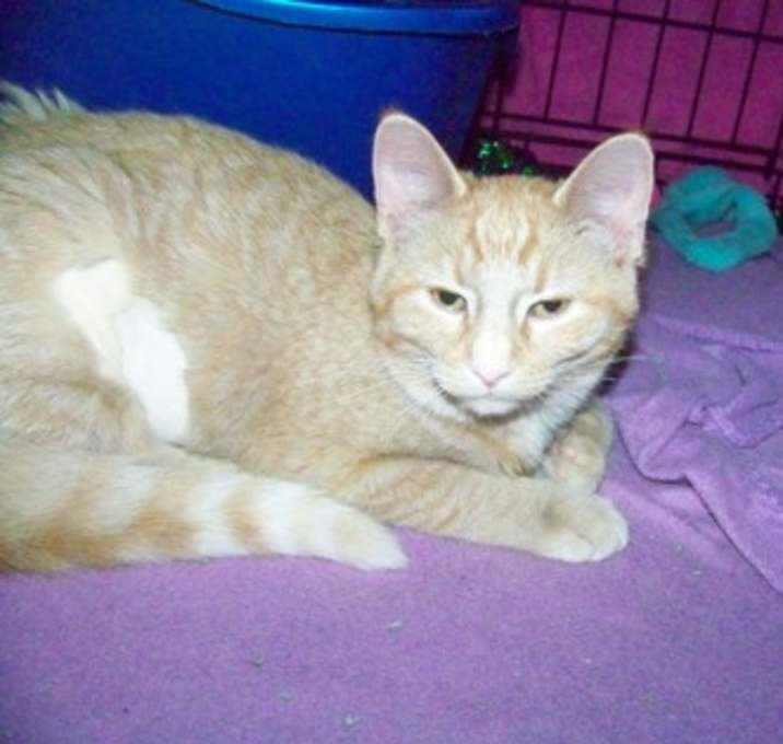 Photo of Penny